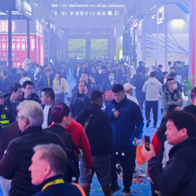 Previous Exhibitions