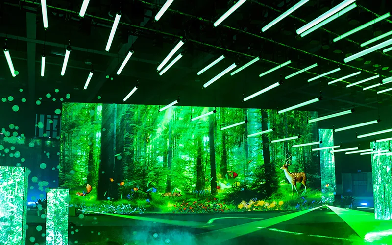 Audio & Video Equipment