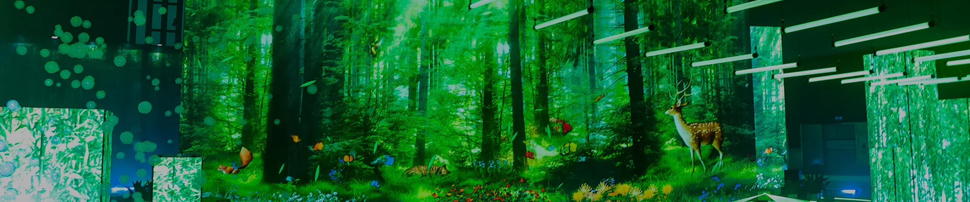 Displays & Projectors