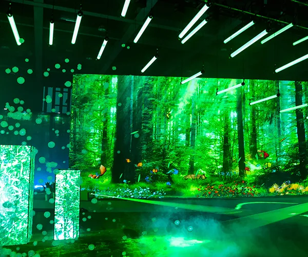 Displays & Projectors