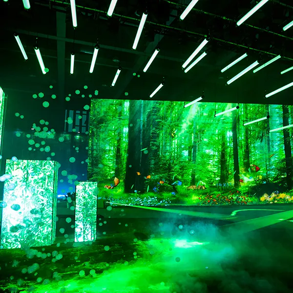 Displays & Projectors